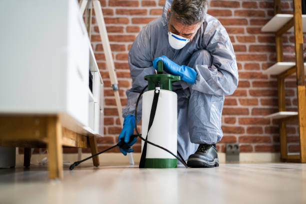 Best Pest Prevention Services  in Alba, NY